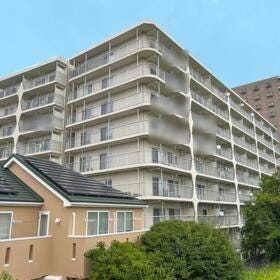 概観画像