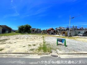 概観画像
