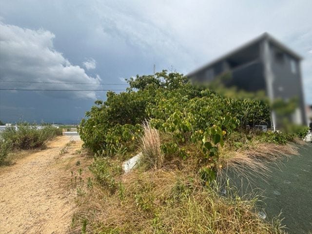 南東側から撮影した現地です。南側が開けているため、陽当たり・風通しの良い住環境が魅力。開放感のある立地で、心地よい暮らしをイメージしていただけます。