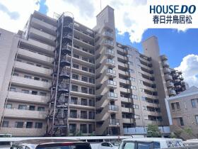 概観画像