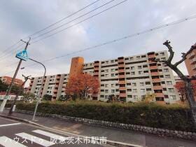 概観画像