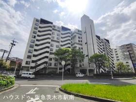 概観画像