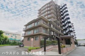 概観画像