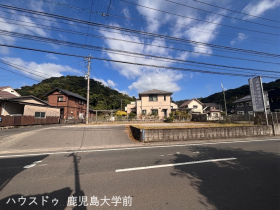概観画像