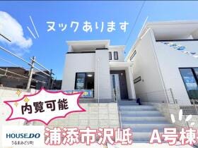概観画像