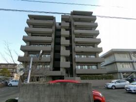 概観画像