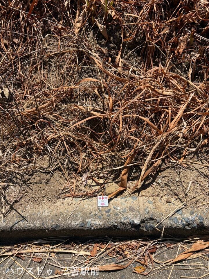 1号地隣地境界付近