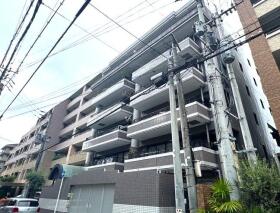 概観画像