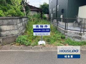 概観画像