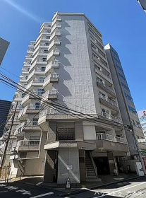 概観画像