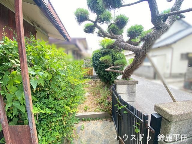 存在感のある植栽により和の趣を感じられる庭です。玄関周りにも緑が多く、落ち着いた雰囲気がいいですね。