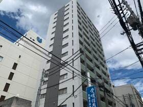 概観画像