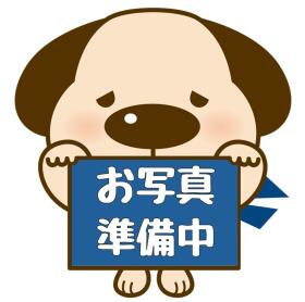 概観画像