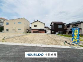 概観画像