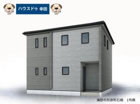 概観画像