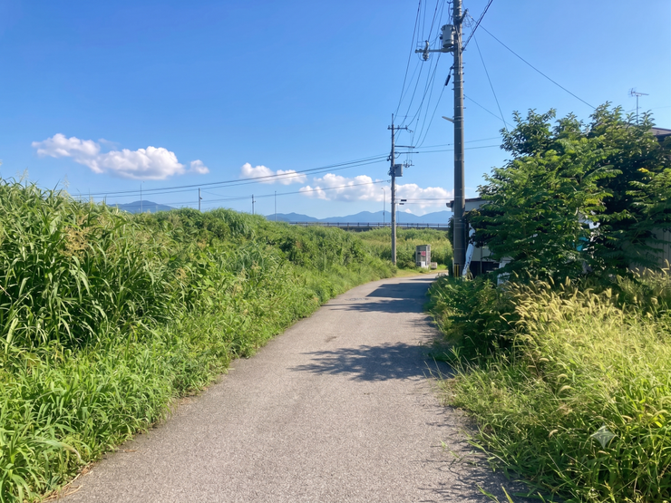 前面道路②
前面道路は交通量が比較的少なく、落ち着いた住環境です。
閑静な住宅街に位置し、車通りの少ない前面道路です。