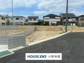 概観画像