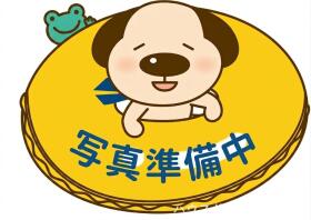 概観画像
