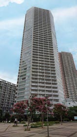 概観画像