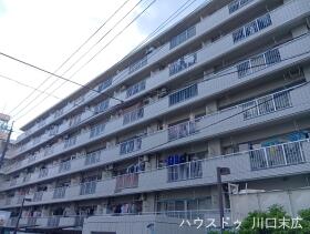 概観画像