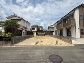 概観画像