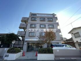 概観画像
