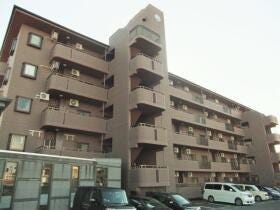 浜松市中央区楊子町
