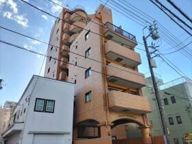 概観画像