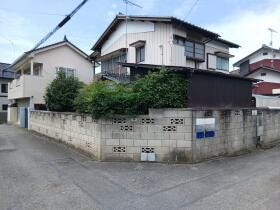 概観画像
