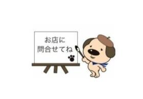 概観画像