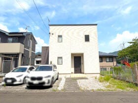 概観画像