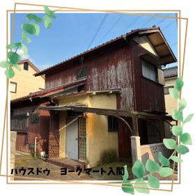 概観画像