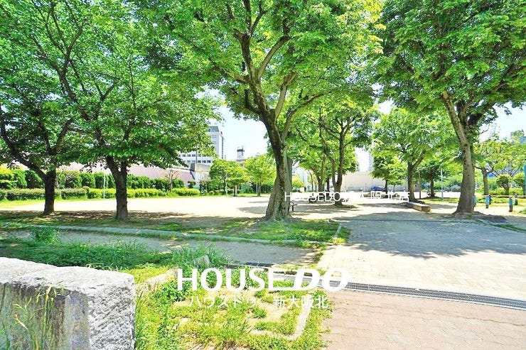 ■南側道路向かいには野中公園がございます!
■緑豊かな周辺環境!季節の移ろいを感じながらお住まいいただけます◎