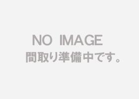 概観画像