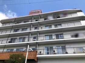 概観画像