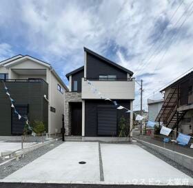 概観画像