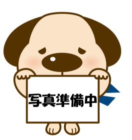 概観画像