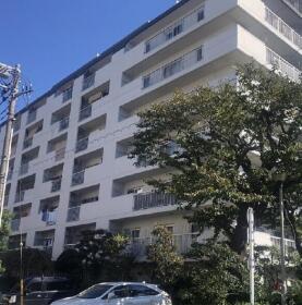 概観画像