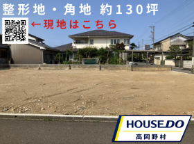 概観画像