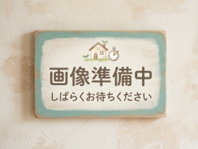 概観画像