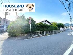 概観画像
