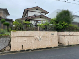 概観画像