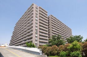 概観画像