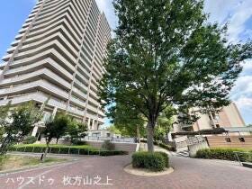 概観画像