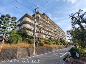 概観画像