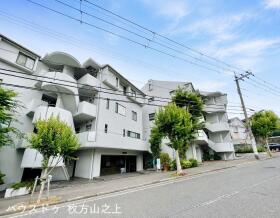 概観画像