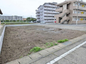 概観画像