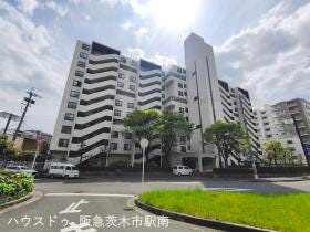 概観画像