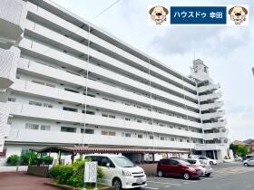 概観画像