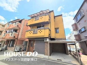概観画像